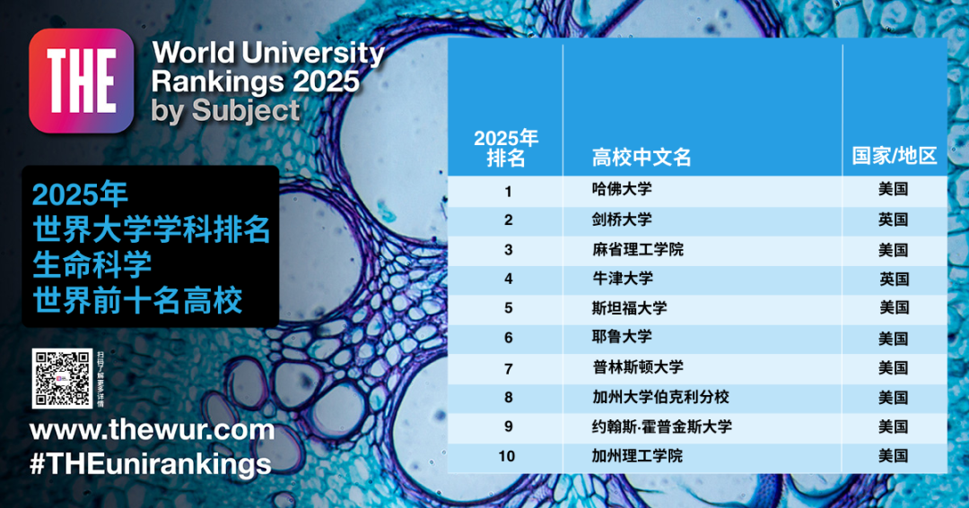 泰晤士高等教育（THE）2025世界学科排名:MIT/斯坦福分获3个学科榜首  数据 排名 MIT ​THE世界大学排名 第11张